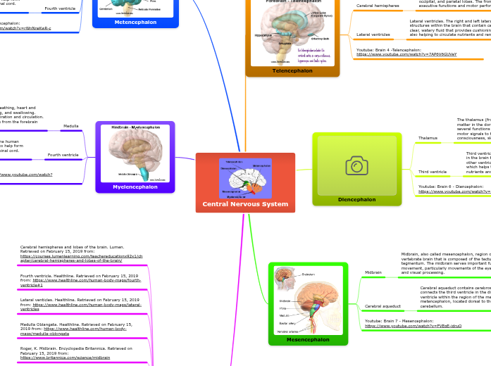 CNS and Supporting Systems