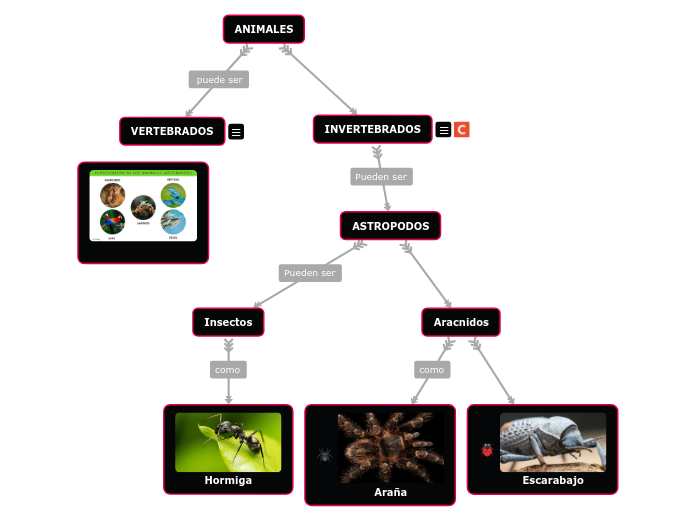 ANIMALES - Mapa Mental