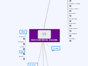 HOME UNIVERSAL CHANNEL - Mapa Mental