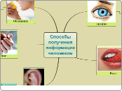 Способы получения информации чел...- Мыслительная карта