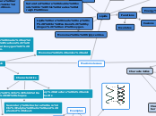 Macromolecues - Mind Map