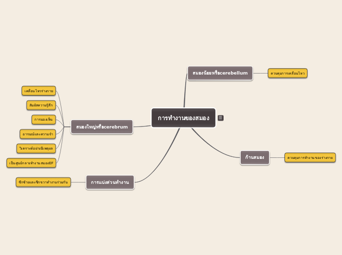 การทำงานของสมอง - Mind Map