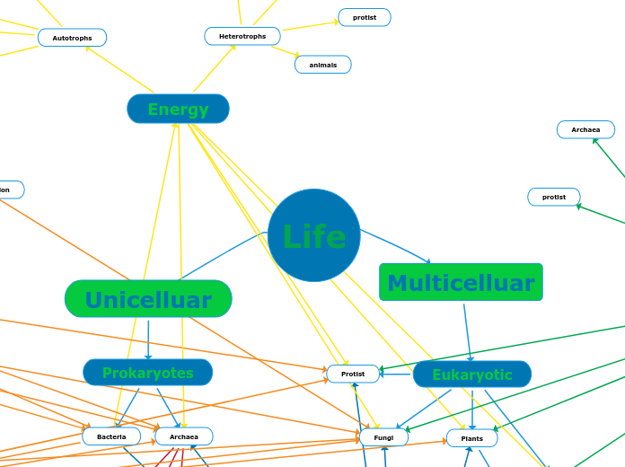 Life - Mind Map