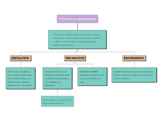 ETAPAS DE LA CARCINOGENESIS - Mapa Mental