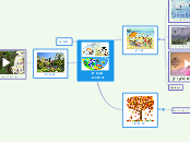 עונות השנה - Mind Map