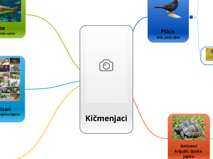 Kičmenjaci - Mind Map