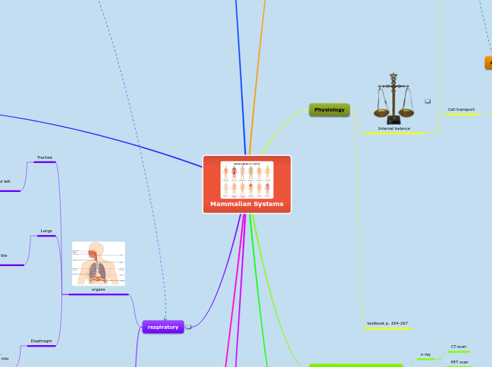 Mammalian Systems PDSBOS Q1 2020 - Mind Map