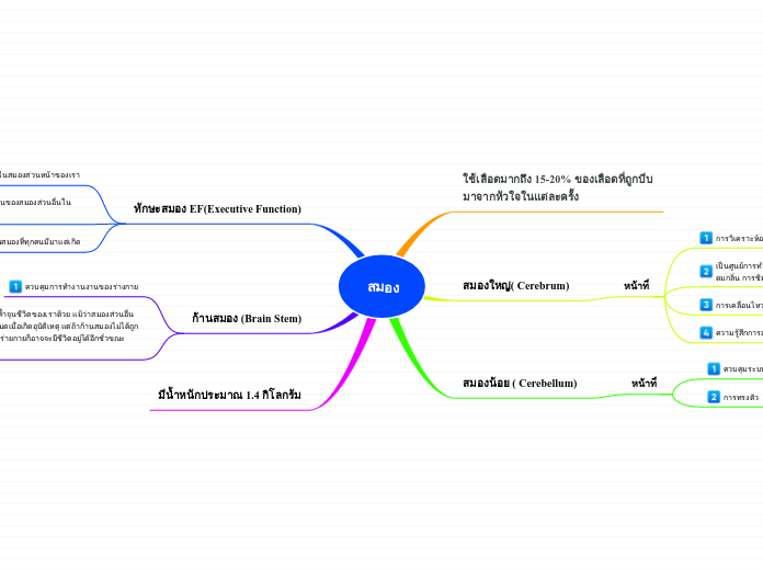 สมอง - Mind Map