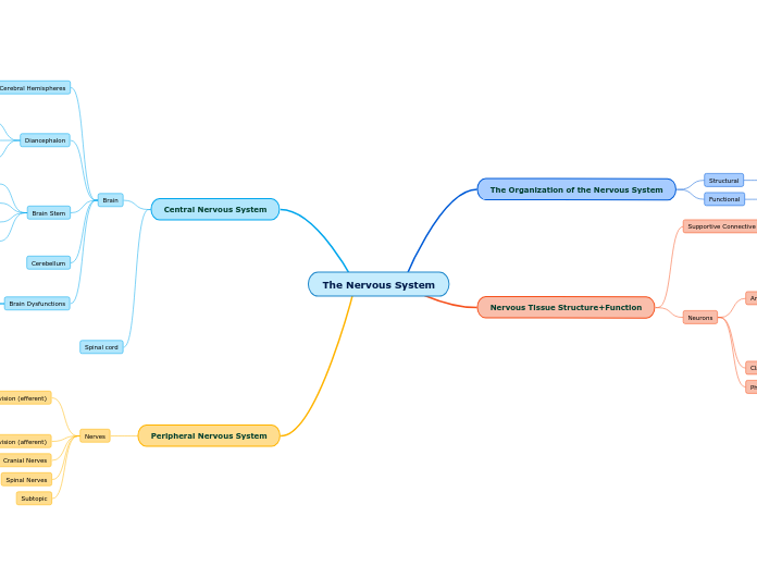 The Nervous System - Mind Map