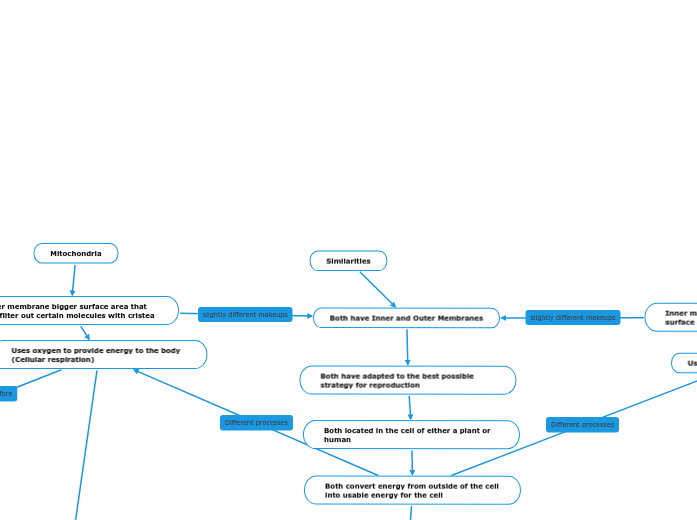 Similarities - Mind Map