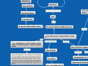 La Gerencia de Proyectos - Mapa Mental