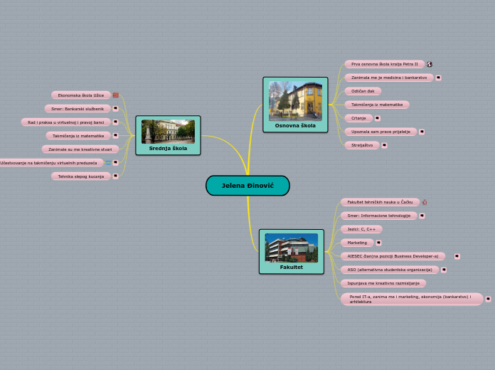 Jelena Đinović - Mind Map