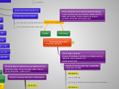 Kozinets 2010 - Mind Map