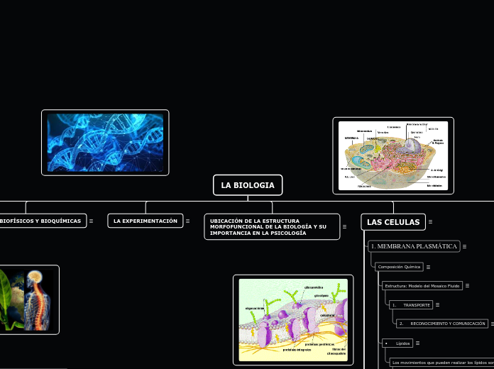 LA BIOLOGIA - Mapa Mental