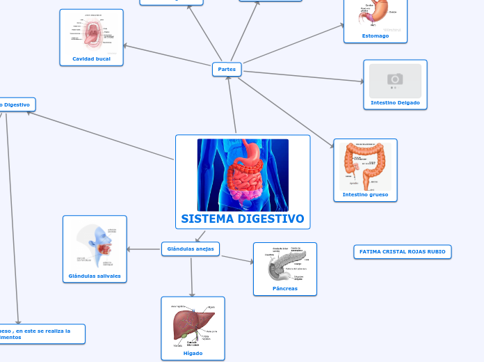 SISTEMA DIGESTIVO - Mapa Mental