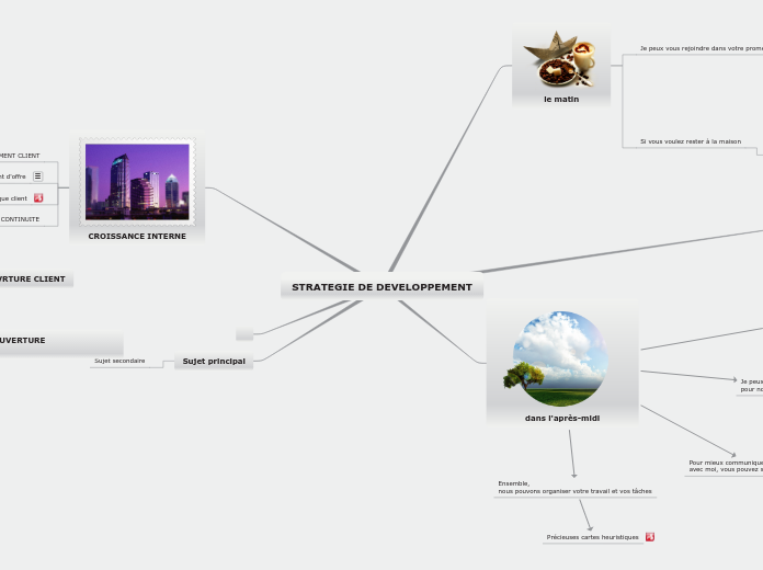 STRATEGIE DE DEVELOPPEMENT - Carte Mentale