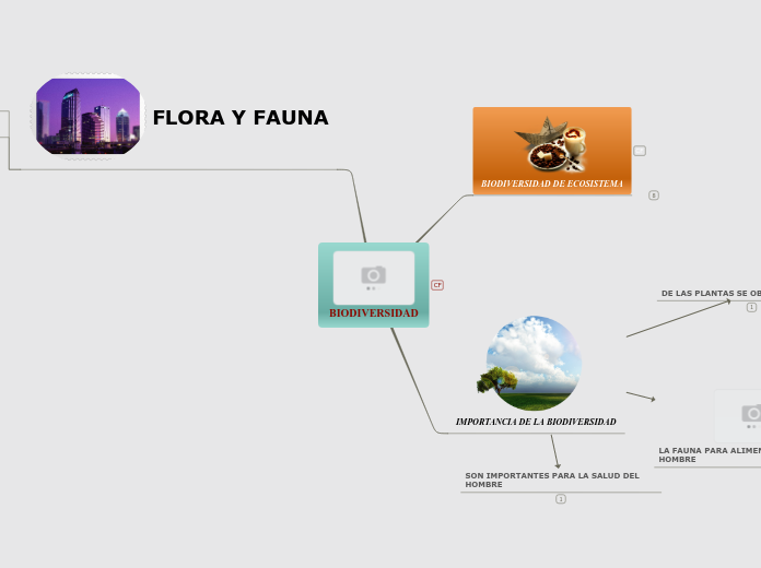 BIODIVERSIDAD - Mind Map