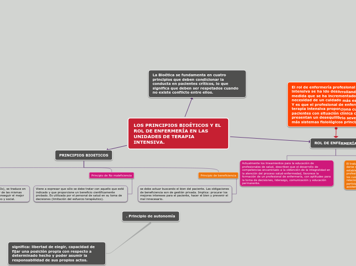 LOS PRINCIPIOS BIOÉTICOS Y EL ROL DE EN...- Mapa Mental