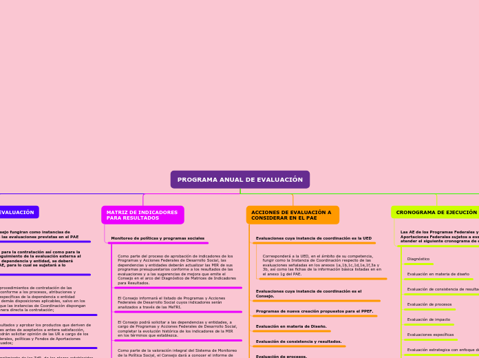 PROGRAMA ANUAL DE EVALUACIÓN - Mapa Mental