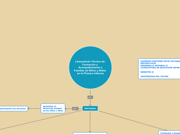 Lineamiento Técnico de Formación y Acom...- Mapa Mental