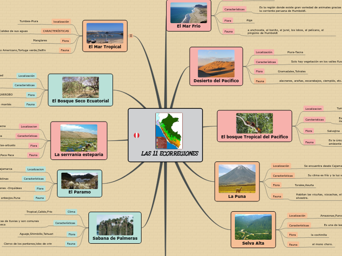 LAS 11 ECORREGIONES - Mapa Mental