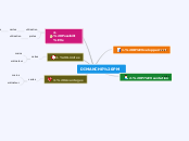 DIMANCHE PM - Carte Mentale