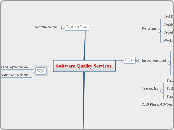 Software Quality Services - Mind Map