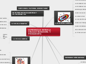 DIFERENCIAS ENTRE LA CELULAS EUCARIOTA ...- Mapa Mental