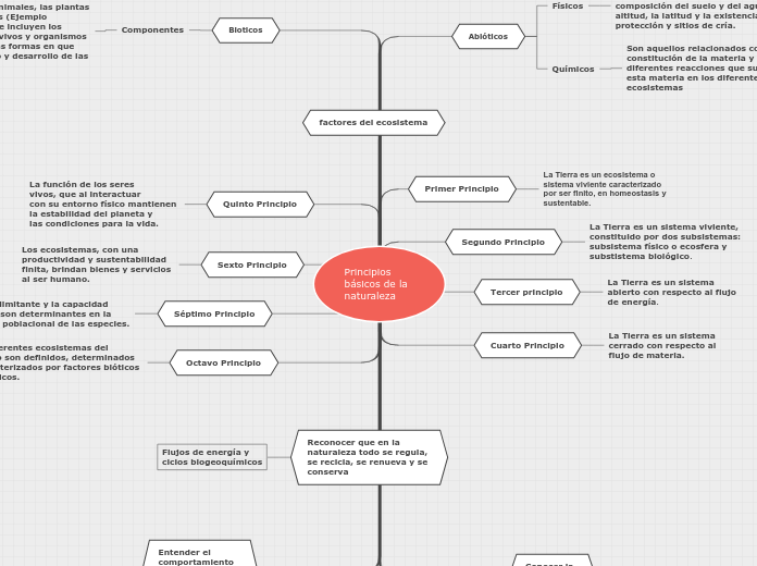 Principios básicos de la naturaleza - Mapa Mental