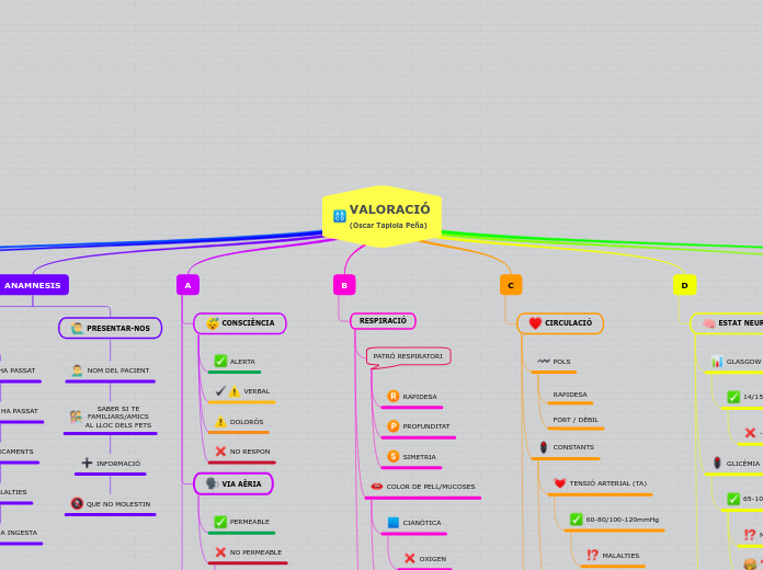 VALORACIÓ
(Oscar Tapiola Peña) - Mapa Mental