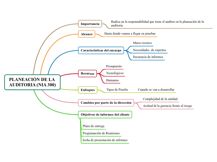 PLANEACIÓN DE LA AUDITORIA (NIA 300)
