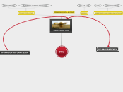 DHL - Mapa Mental