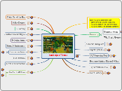 Landscape of Terms - Mind Map