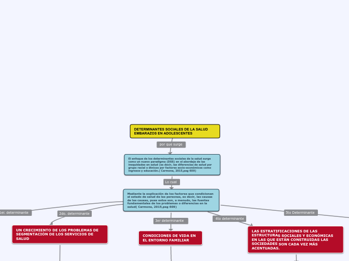 DETERMINANTES SOCIALES DE LA SALUD     ...- Mapa Mental
