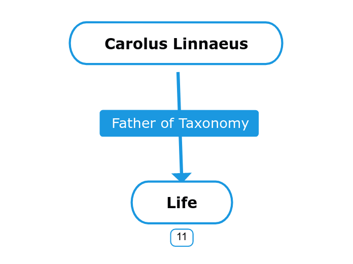 Carolus Linnaeus - Mind Map