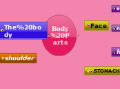 Body Parts - Mind Map