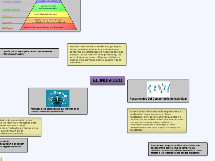 EL INDIVIDUO - Mapa Mental
