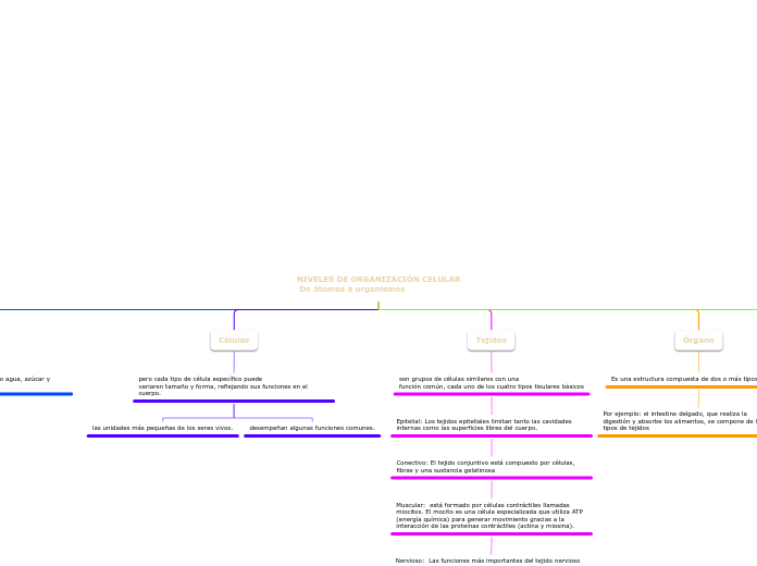 NIVELES DE ORGANIZACIÓN CELULAR
 De áto...- Mapa Mental