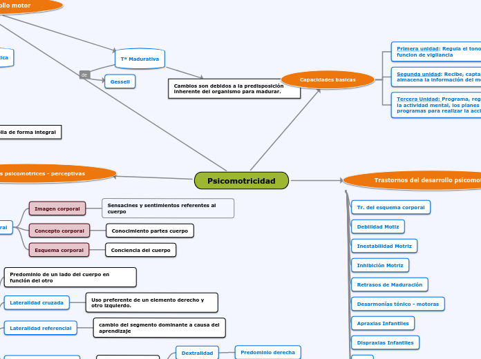Thesis de psicomotricidad 07 picture