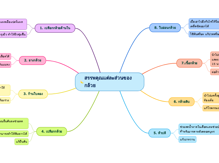 สรรพคุณแต่ละส่วนของกล้วย - Mind Map