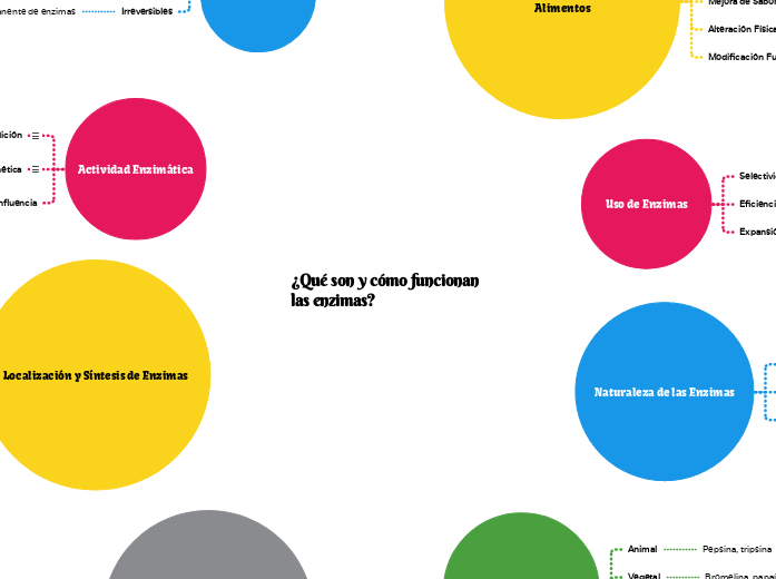 ¿Qué son y cómo funcionan las enzimas? - Mapa Mental