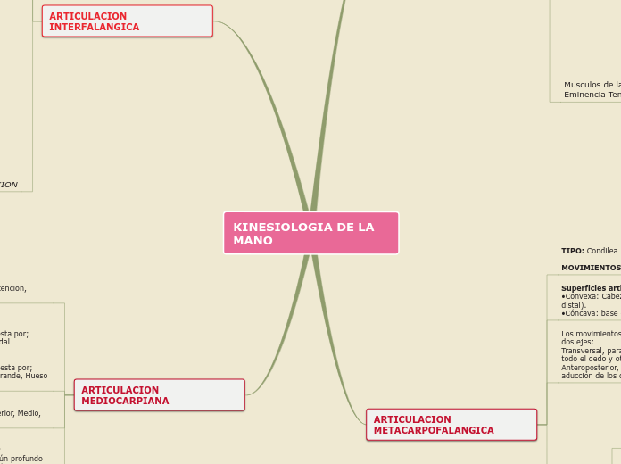KINESIOLOGIA DE LA MANO - Mapa Mental