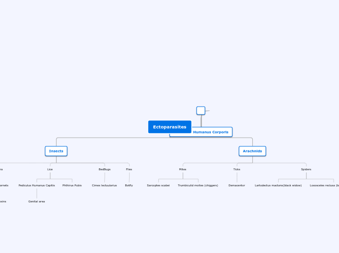 Ectoparasites - Mind Map