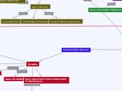 Immune responses - Mind Map