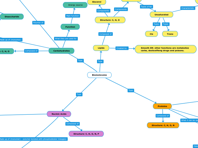 Biomolecules - Mind Map