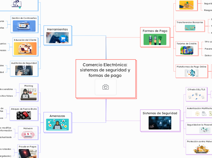 Comercio Electrónico: sistemas de seguridad y formas de pago 