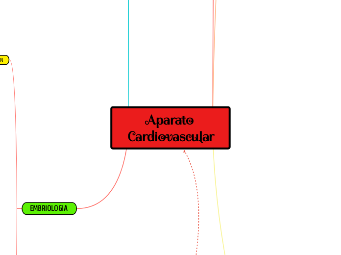 Aparato Cardiovascular - Mapa Mental