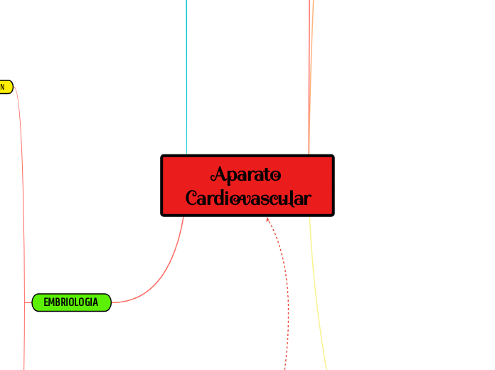 Aparato Cardiovascular jerry 