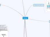Scrum - Mapa Mental