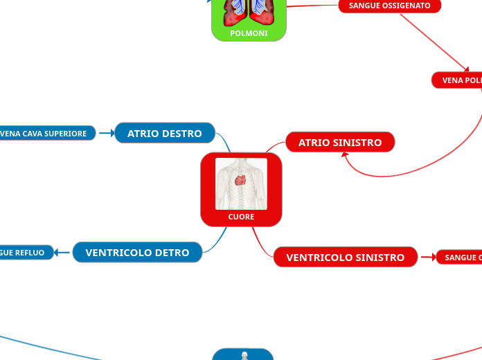 CUORE - Mappa Mentale